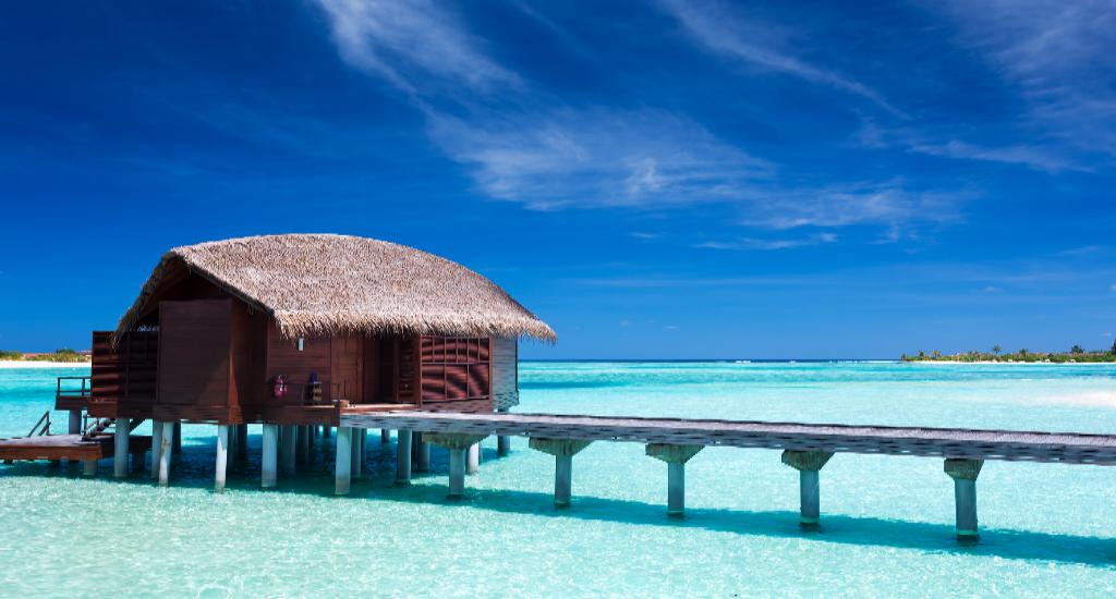 Топ-5 отелей на Мальдивах по мнению туристов Aydana Tour: номера, питание, развлечение и изюминка отеля
